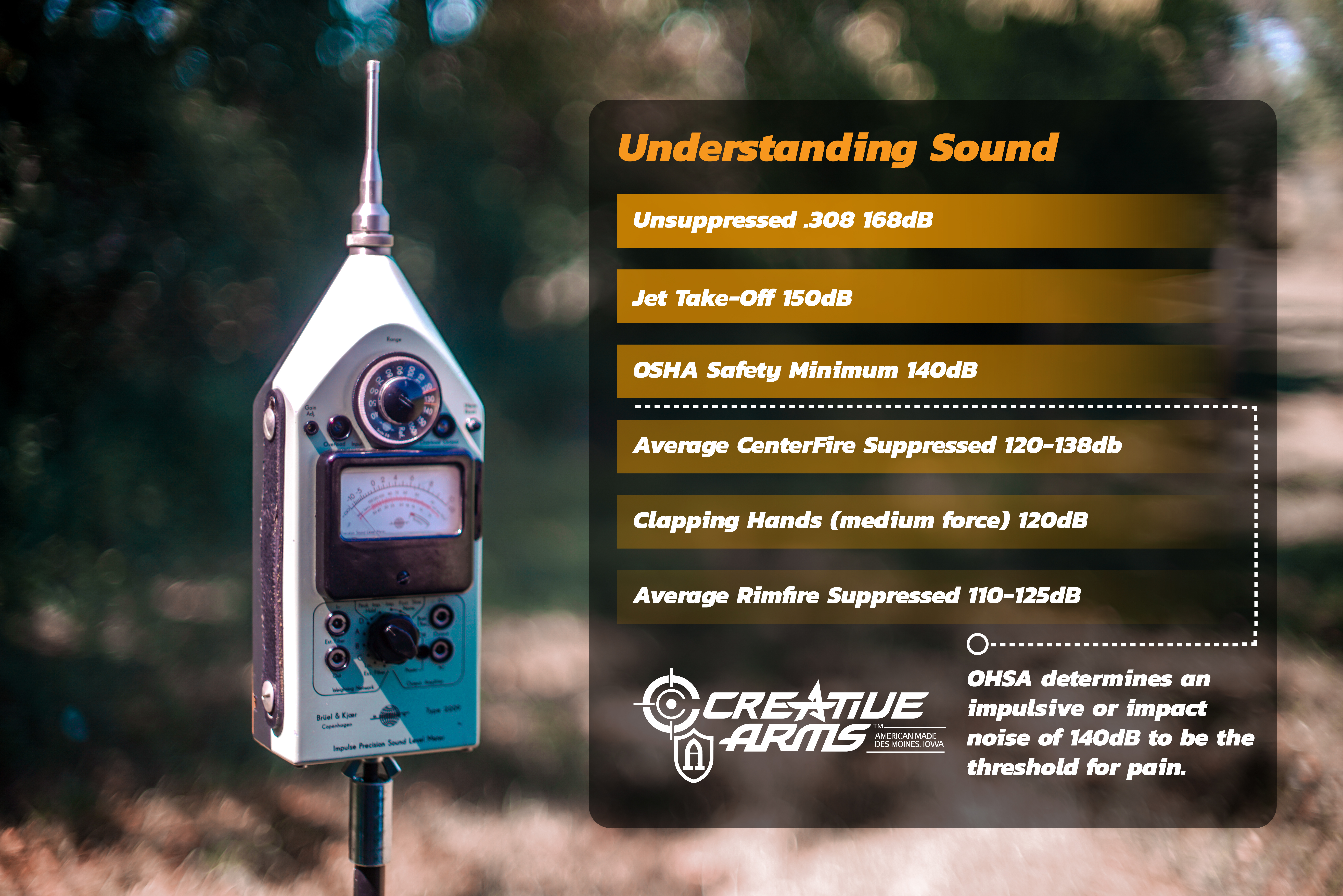 Creative Arms Understanding Sound infographic